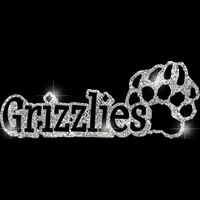 GLT17 SILVER GLITTER Thumbnail